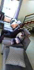 A picture of Furniture store