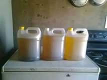 A picture of Sunflower cooking oil