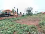 A picture of 15DECIMALS PLOT KIRA AT UGX135M
