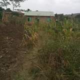 A picture of Matugga Namakonkome 25m Ready title Sitting room bedroom inside bathrooms