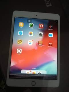 A picture of iPad mini 3