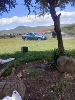 Kzn V.