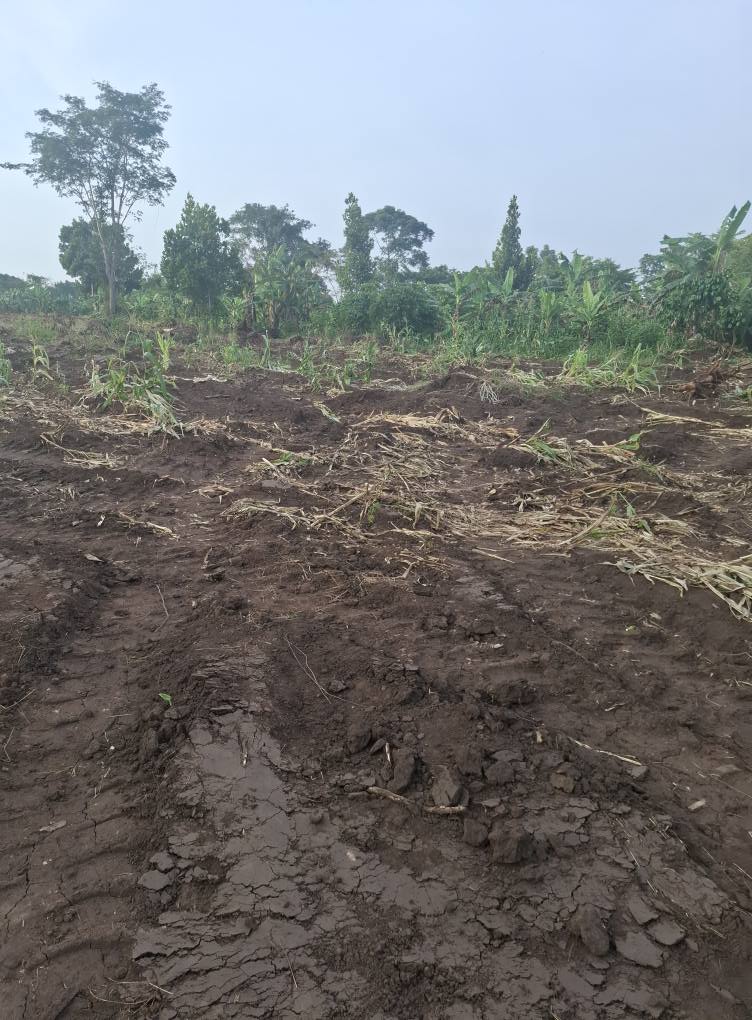 A picture of Plots for sale in luwero