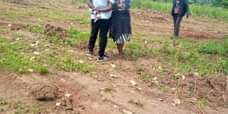 A picture of PLOT 50x50Ft ON QUICK SALE 3M located at matugga kiwebwa
