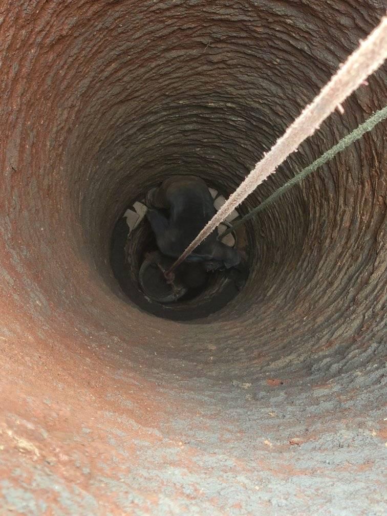 A picture of Underground water drilling
