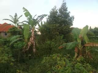 A picture of 90ft by 180ft on sale in kisoga along mukono katosi