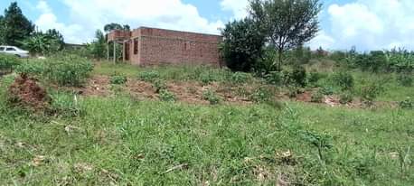 A picture of 50 100 plots at 13m Matugga Kiwebwa 1.5km off Tarmac