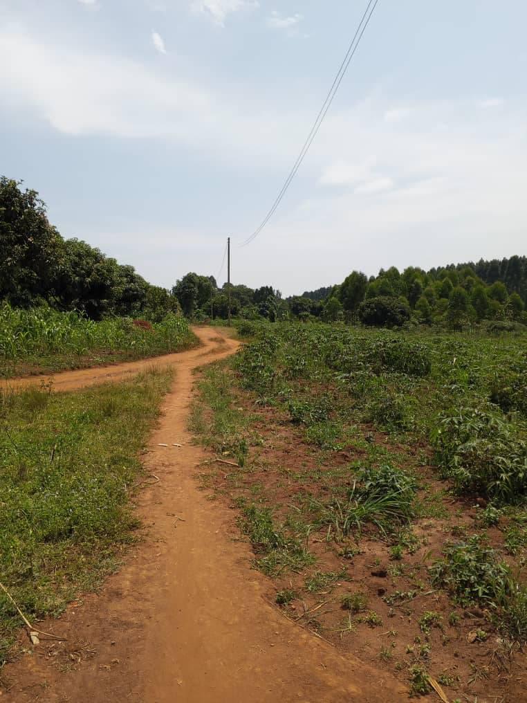 A picture of Plot of land