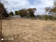 stands