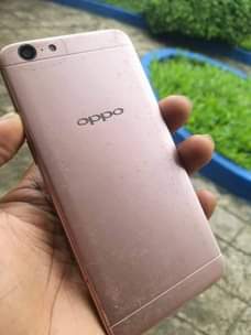 A picture of Oppo57