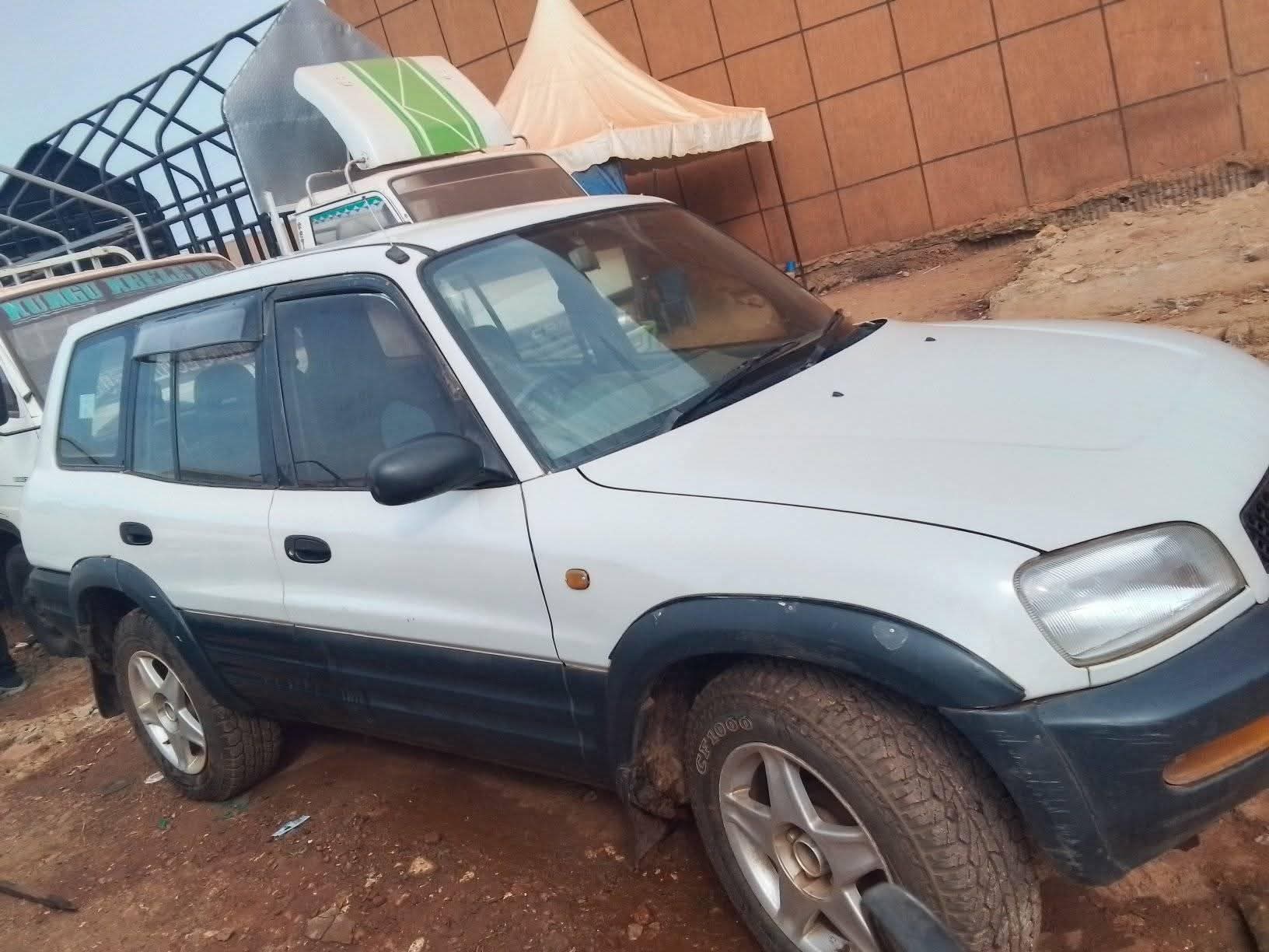 A picture of Rav4
