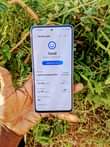 A picture of Samsung Galaxy a53 imenyooka mno gb128 ram8 net5g