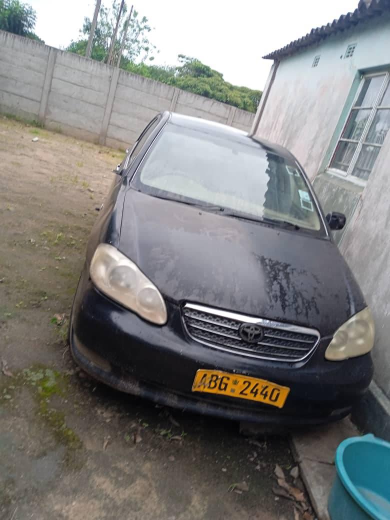 cars