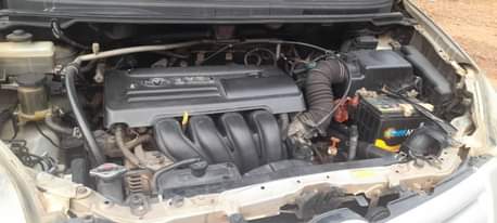 A picture of Toyota Spacio