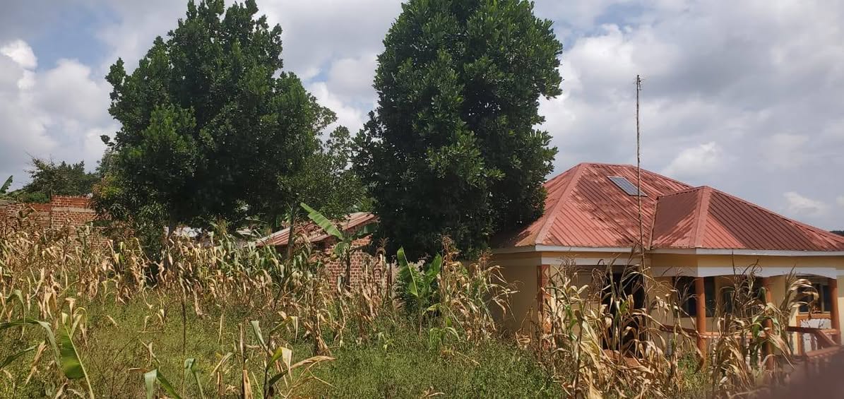 A picture of FOR SALE 50x50ft Plot Kisoga Town Mukono Size 50ft x