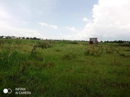 A picture of Kiwanja