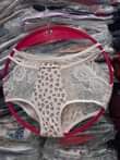 A picture of Panties