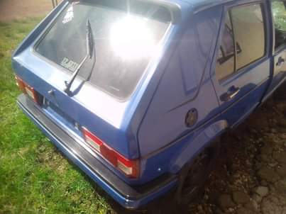 VW's F.