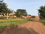 A picture of School on a Quick Sell