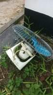 A picture of NAUZA FENI NA PASI PHILIPS