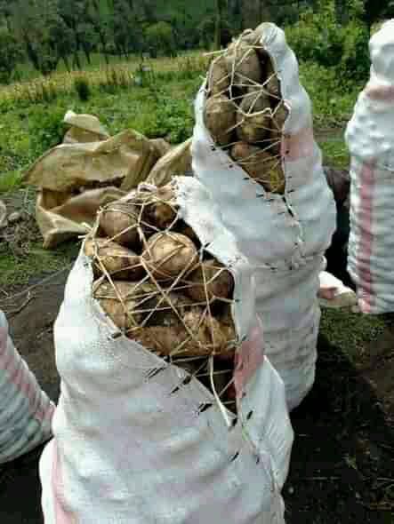 wholesale