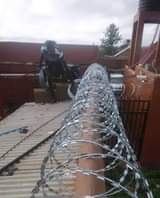 A picture of Razor Wire Fencing Security Systems