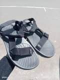 A picture of Teva sendo