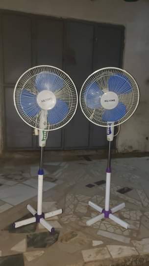 fans