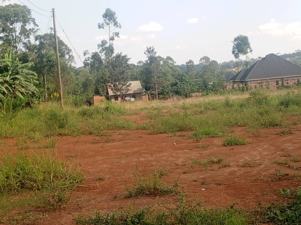 A picture of HOT DEAL ON QUICK SALE 14 5M Beyi yabusubuzi plot