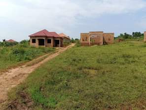A picture of Merry Xmas Christmas 8000000 M LAND TITLE plot for sale