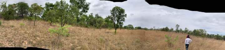 Property for Sale