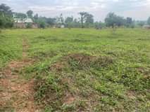 A picture of 50x100ft plots at 12m vvumba