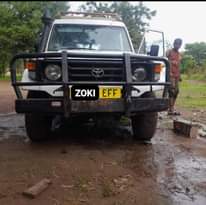 A picture of Zoki Motor s Tz 0715 811744