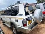A picture of Landcruiser Prado TX 30m