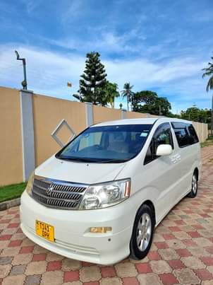 toyota alphard