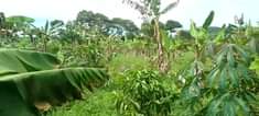 A picture of Anti MR PROPERTY It s an acre of land for