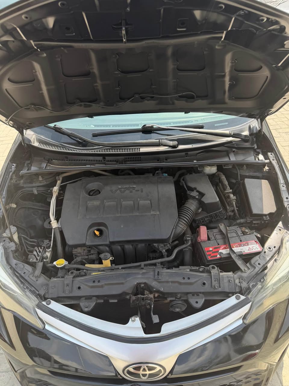 A picture of 2016 Corolla special Edition sport