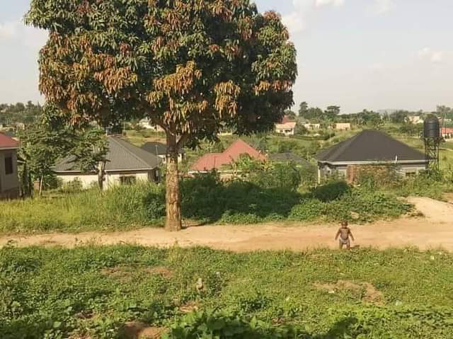 houses matugga