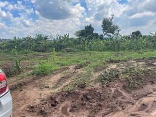 A picture of 50X100ft affordable plots for sale in Kakiri