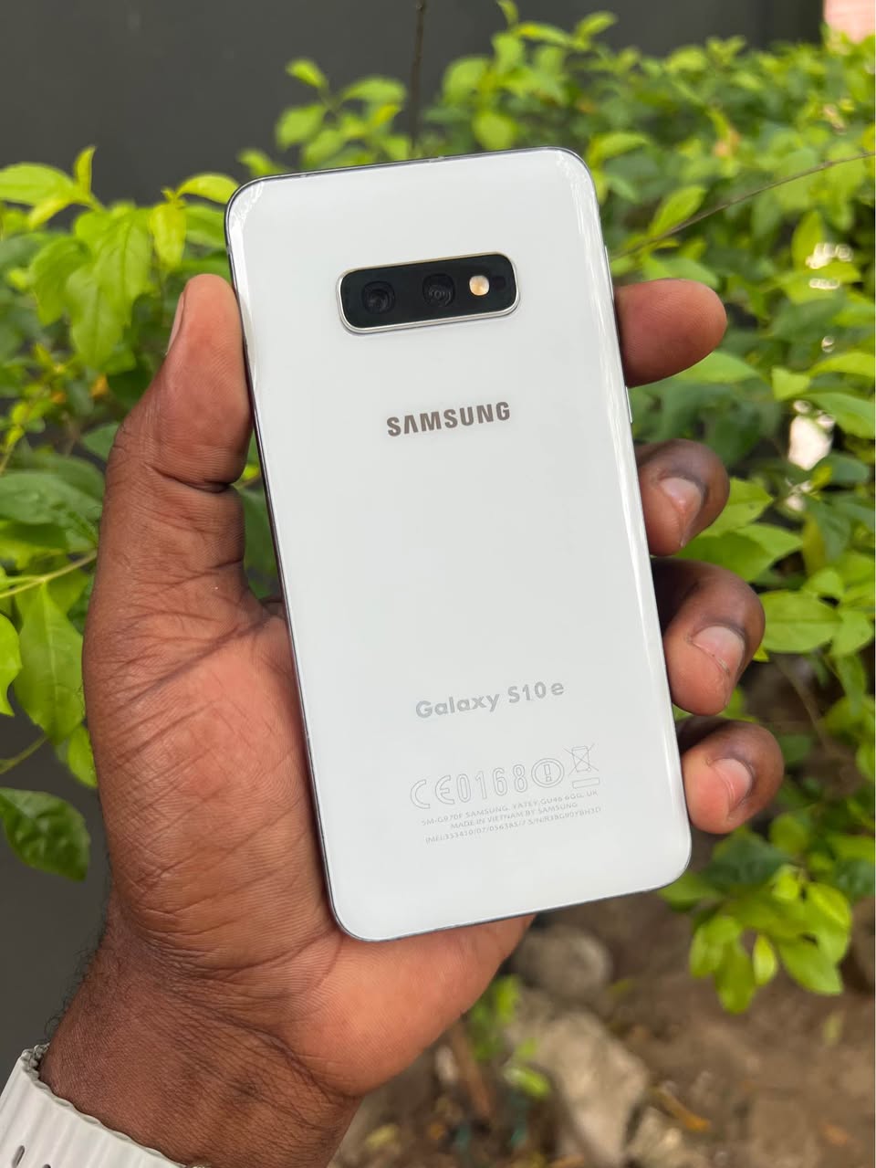 A picture of Samsung s10e