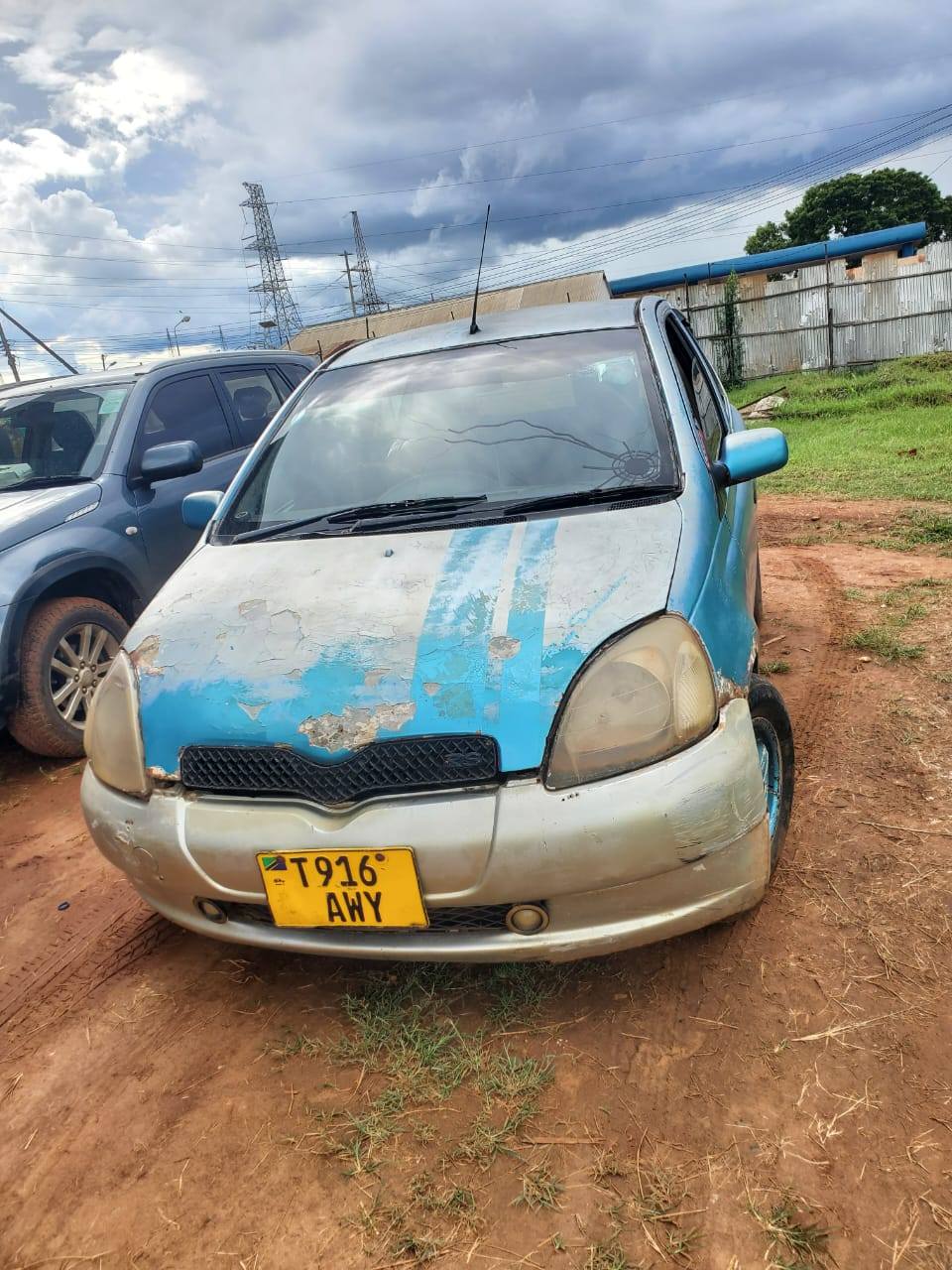A picture of Vitz