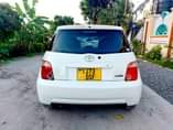 A picture of cat