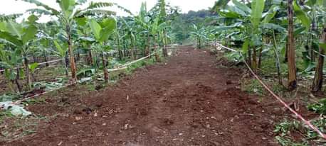A picture of Plots available
