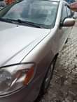 A picture of corolla