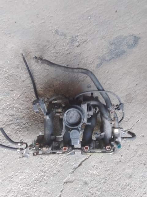 Trinidad C.