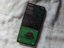 Sadeeq S.