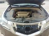 A picture of Acura TL 2009 model