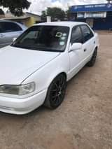 A picture of COROLLA