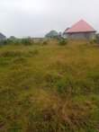 A picture of Icho kiwanja kipo chamazi kinauzwa milioni 7 kinaukubwa wa mita