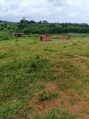 A picture of Plots for sale